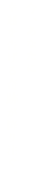 今、あなたに幸運を告げる奇跡が降り注ぐ